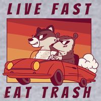 Live Fast Eat Trash Race Car Funny Raccoon Women's Sweatshirt thumb 2