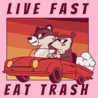 Live Fast Eat Trash Race Car Funny Raccoon Coaster thumb 2
