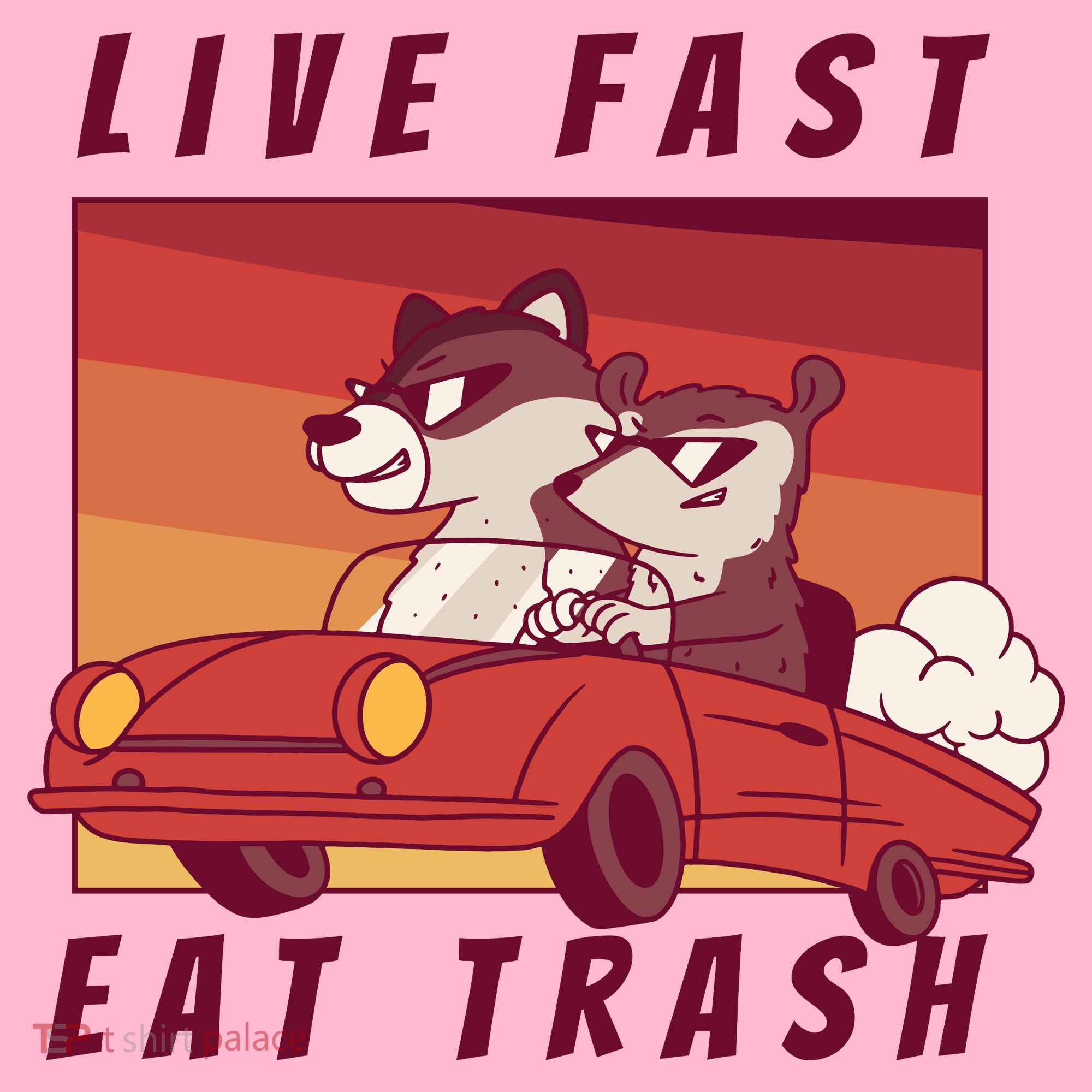 Live Fast Eat Trash Race Car Funny Raccoon Coaster