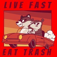 Live Fast Eat Trash Race Car Funny Raccoon Santa Hat thumb 1