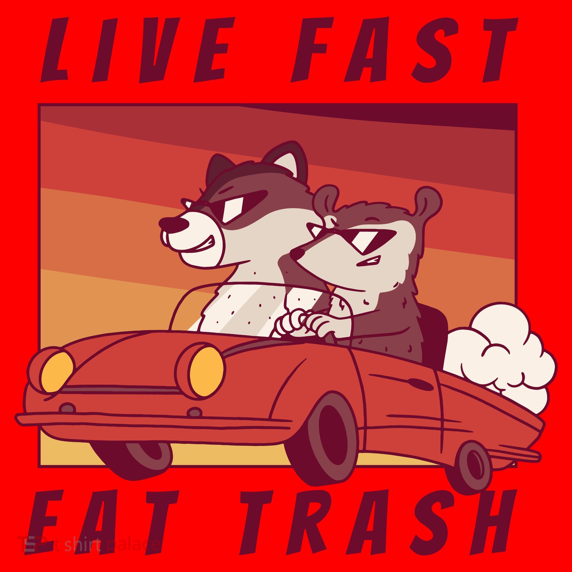 Live Fast Eat Trash Race Car Funny Raccoon Santa Hat