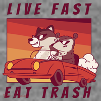 Live Fast Eat Trash Race Car Funny Raccoon Toddler Hoodie thumb 2
