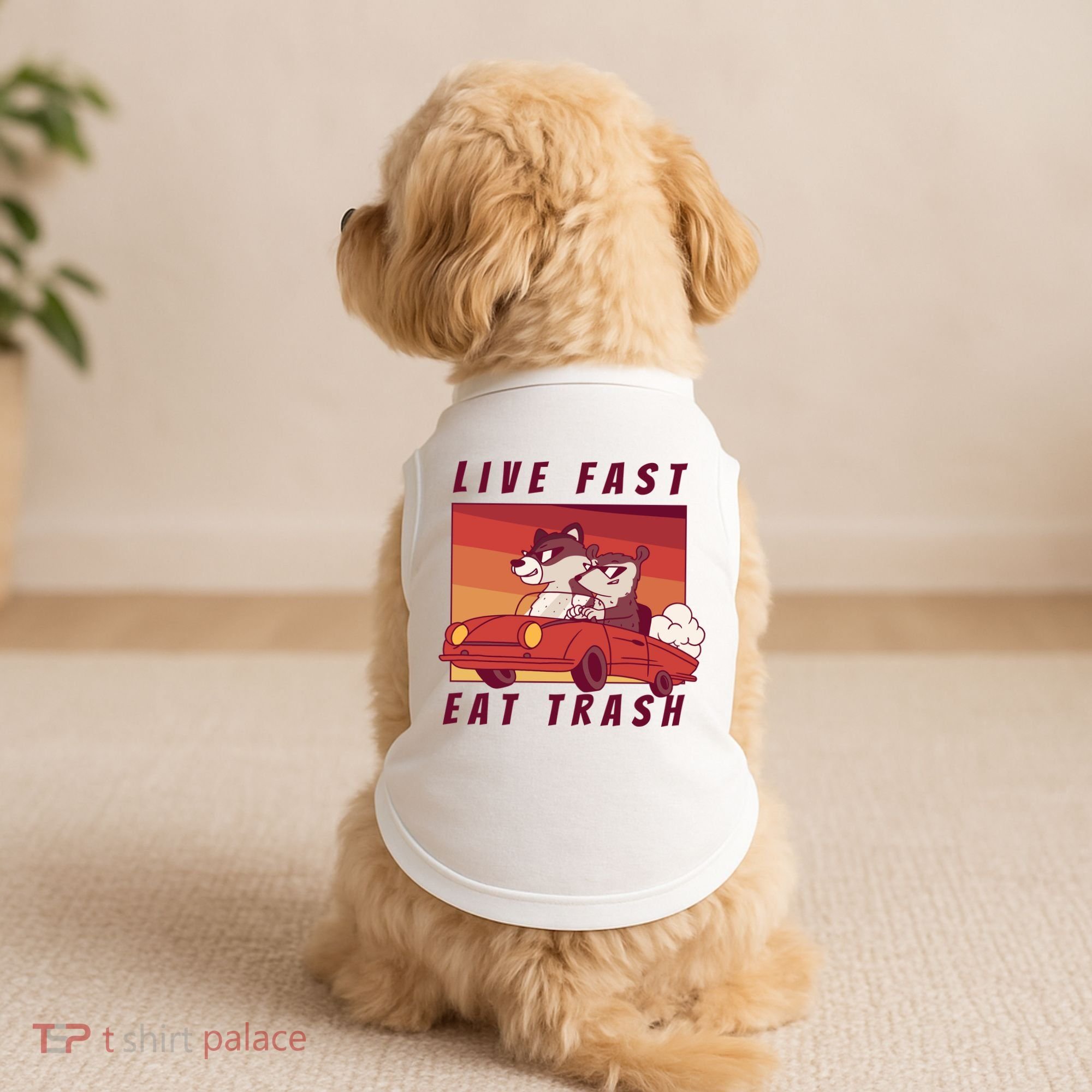 Live Fast Eat Trash Race Car Funny Raccoon Doggie Tank