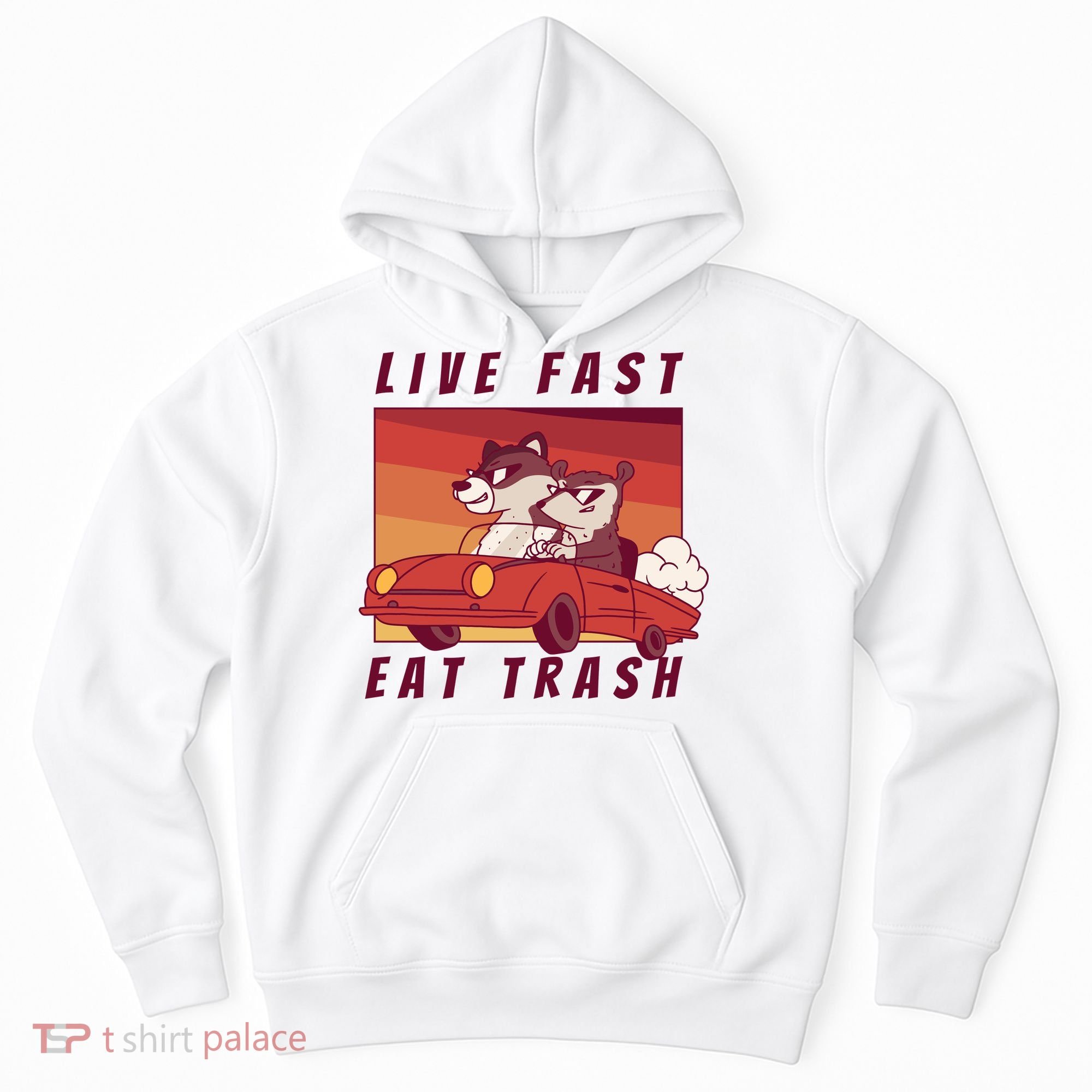 Live Fast Eat Trash Race Car Funny Raccoon Hoodie