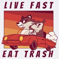 Live Fast Eat Trash Race Car Funny Raccoon Hoodie thumb 2