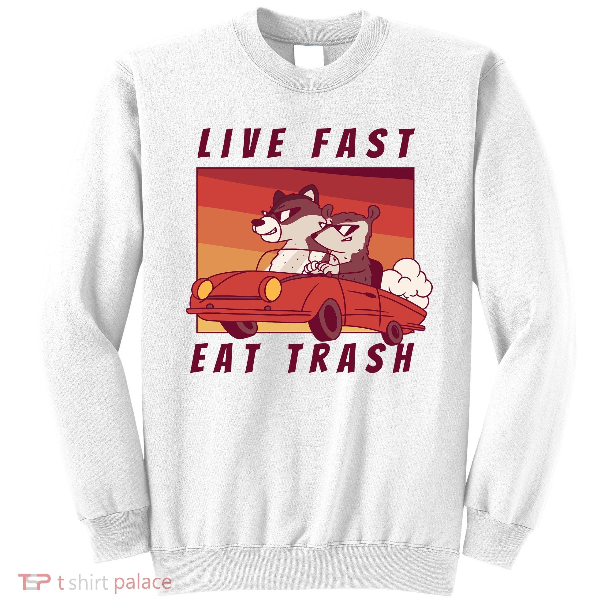 Live Fast Eat Trash Race Car Funny Raccoon Sweatshirt