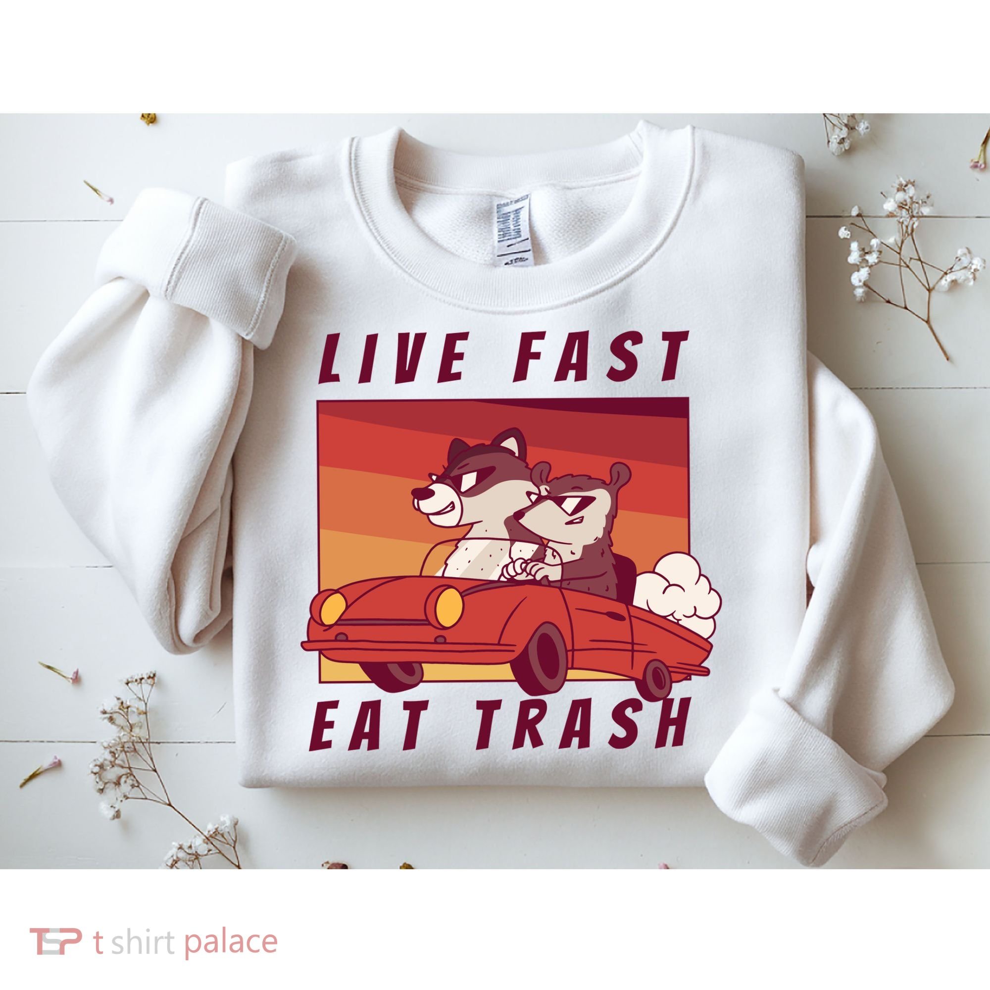 Live Fast Eat Trash Race Car Funny Raccoon Sweatshirt