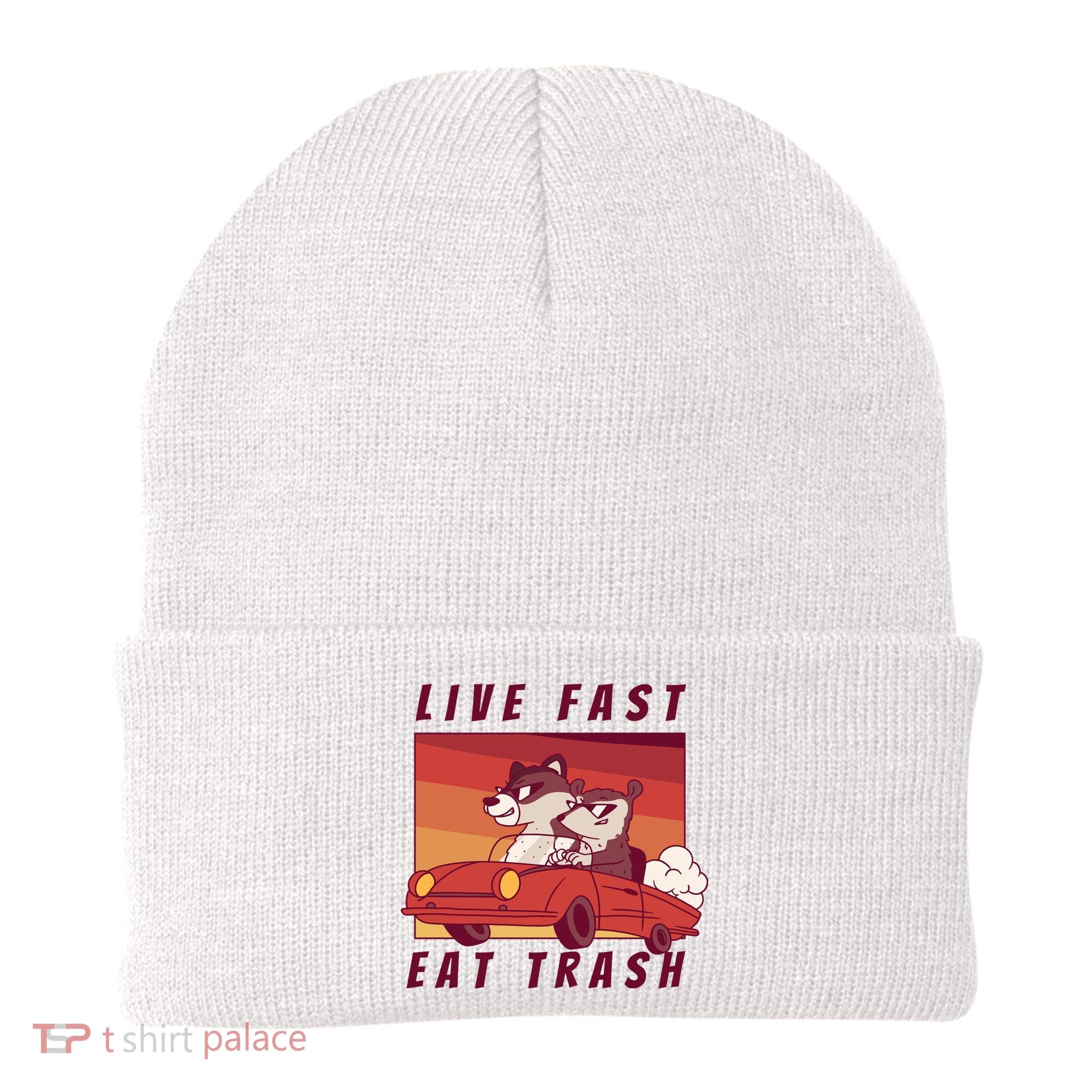 Live Fast Eat Trash Race Car Funny Raccoon Beanie