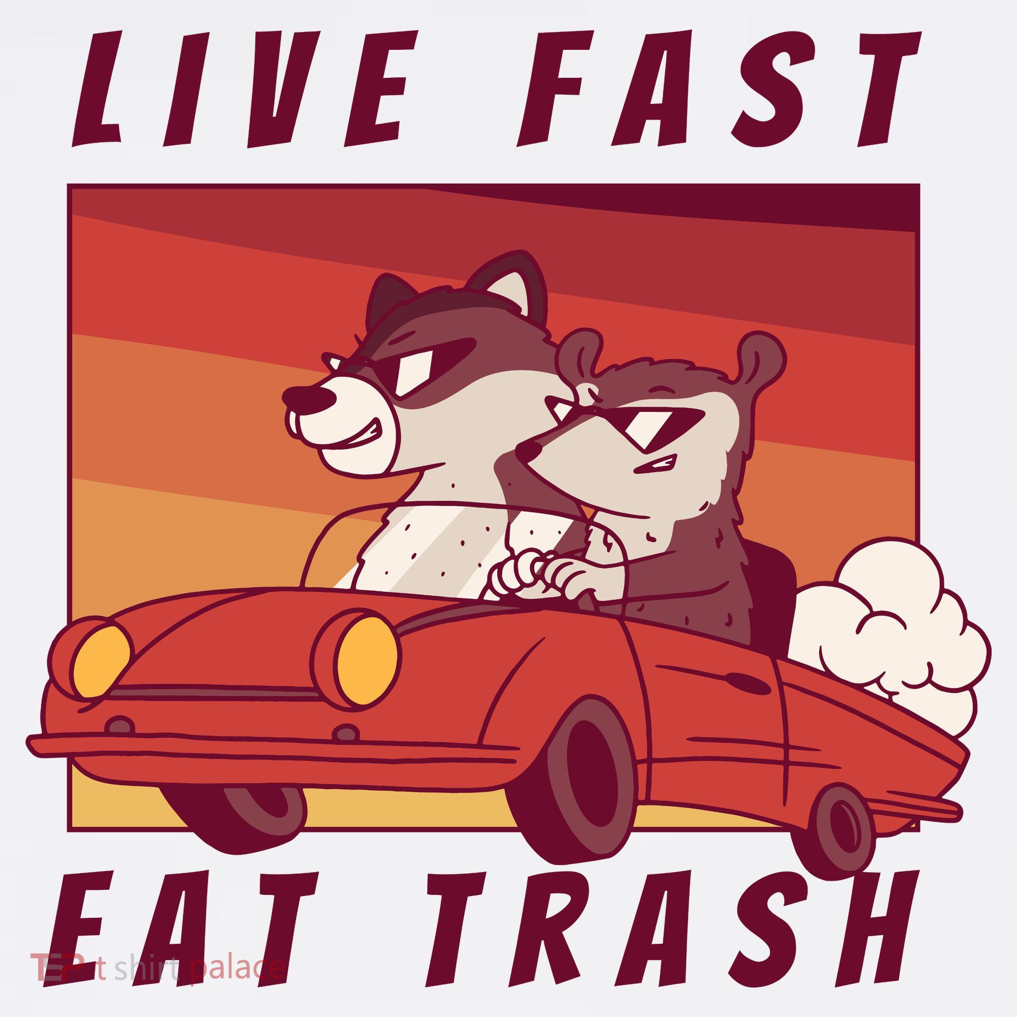 Live Fast Eat Trash Race Car Funny Raccoon Women's Tank Top