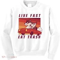 Live Fast Eat Trash Race Car Funny Raccoon Kids Sweatshirt thumb 0