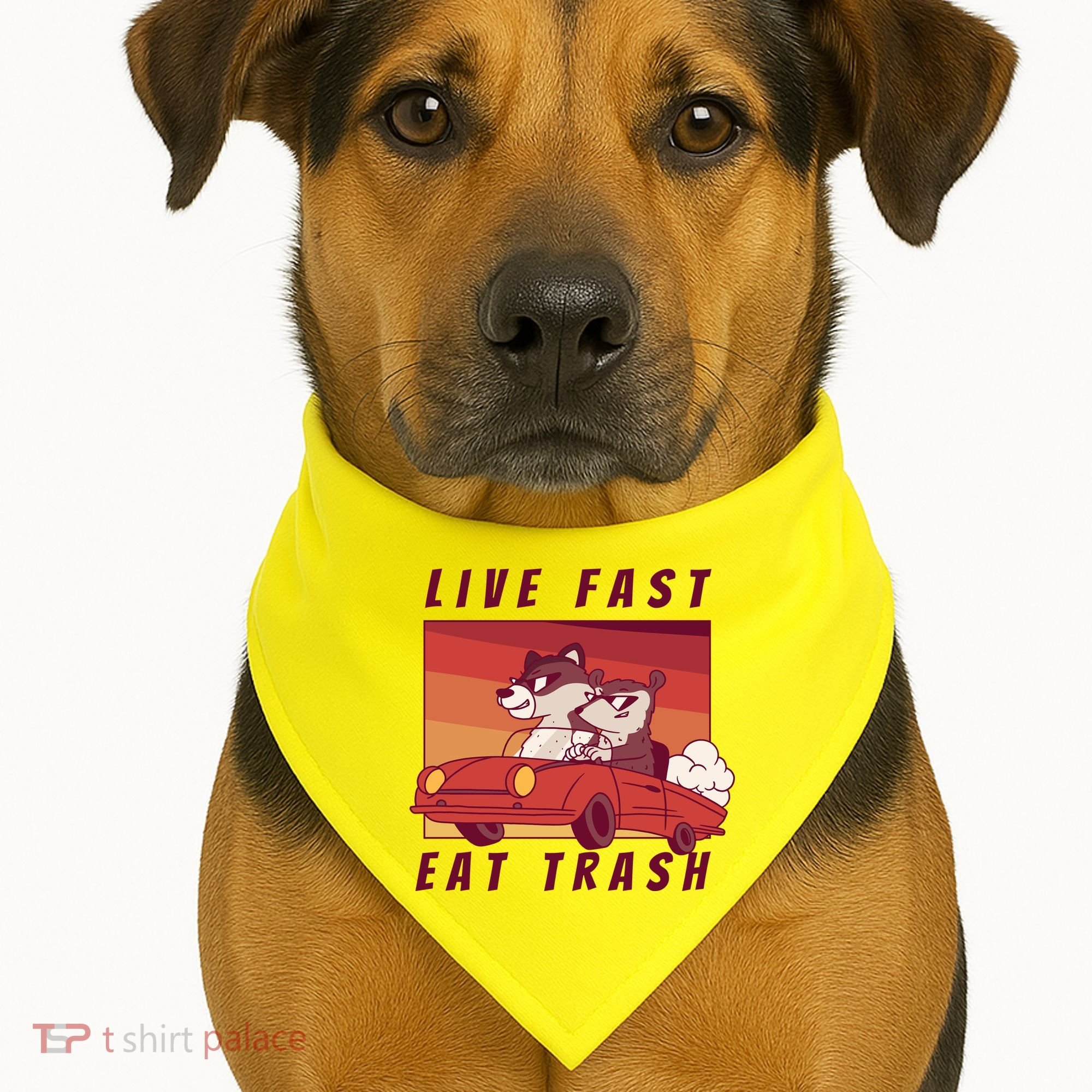 Live Fast Eat Trash Race Car Funny Raccoon USA-Made Doggie Bandana
