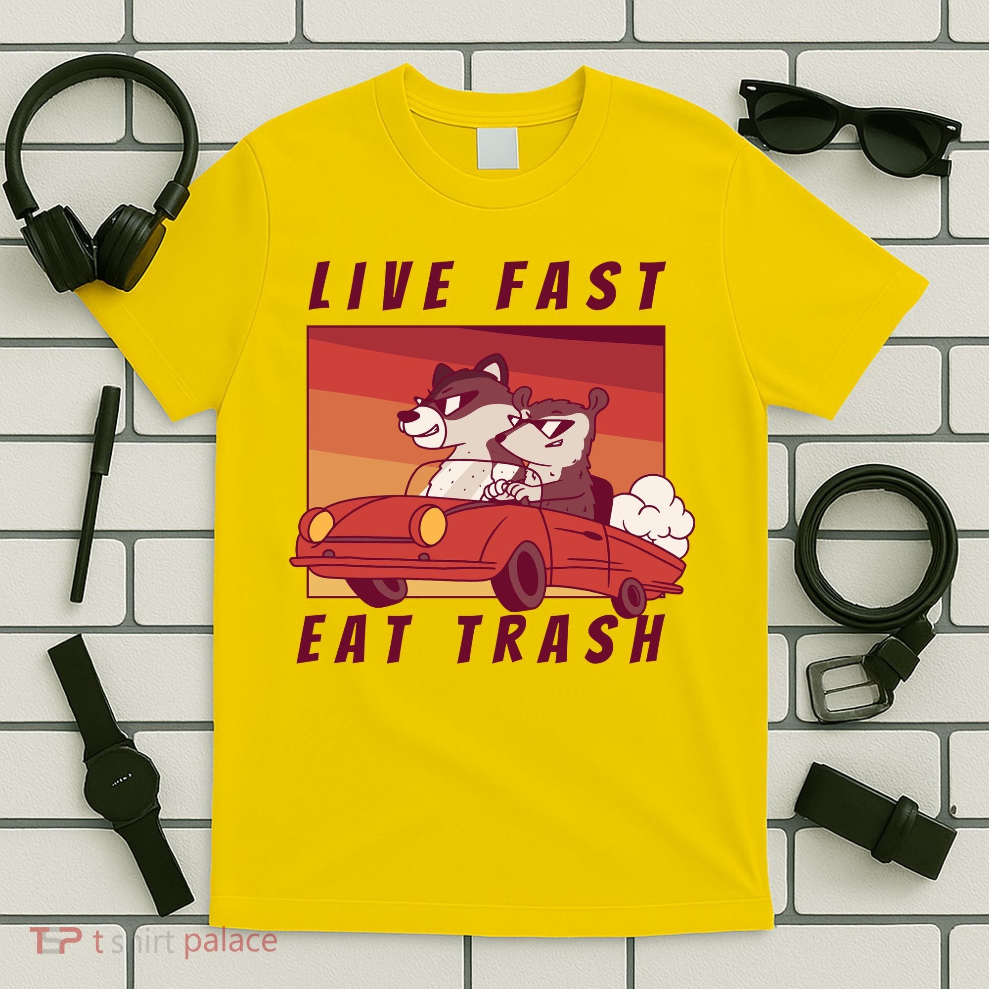 Live Fast Eat Trash Race Car Funny Raccoon T-Shirt