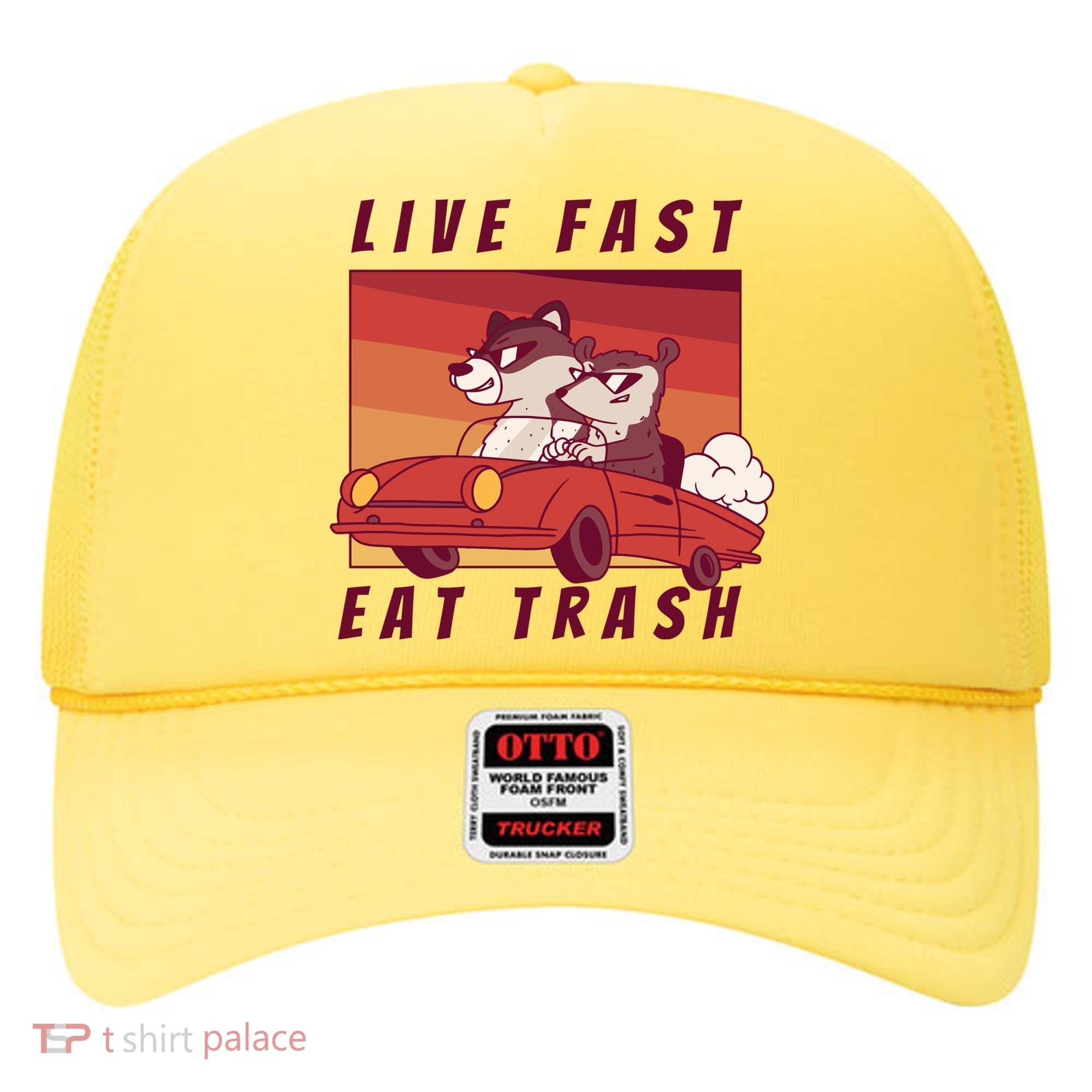 Live Fast Eat Trash Race Car Funny Raccoon Hat