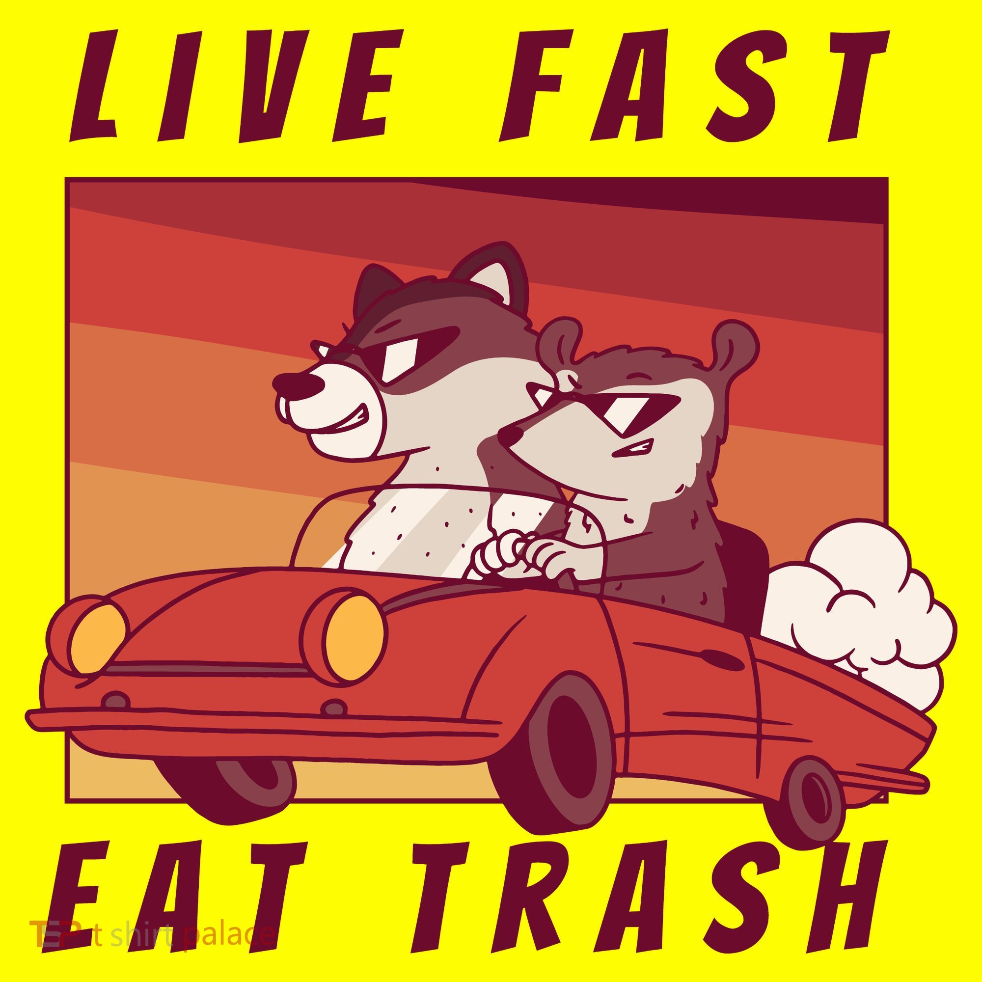Live Fast Eat Trash Race Car Funny Raccoon Hat