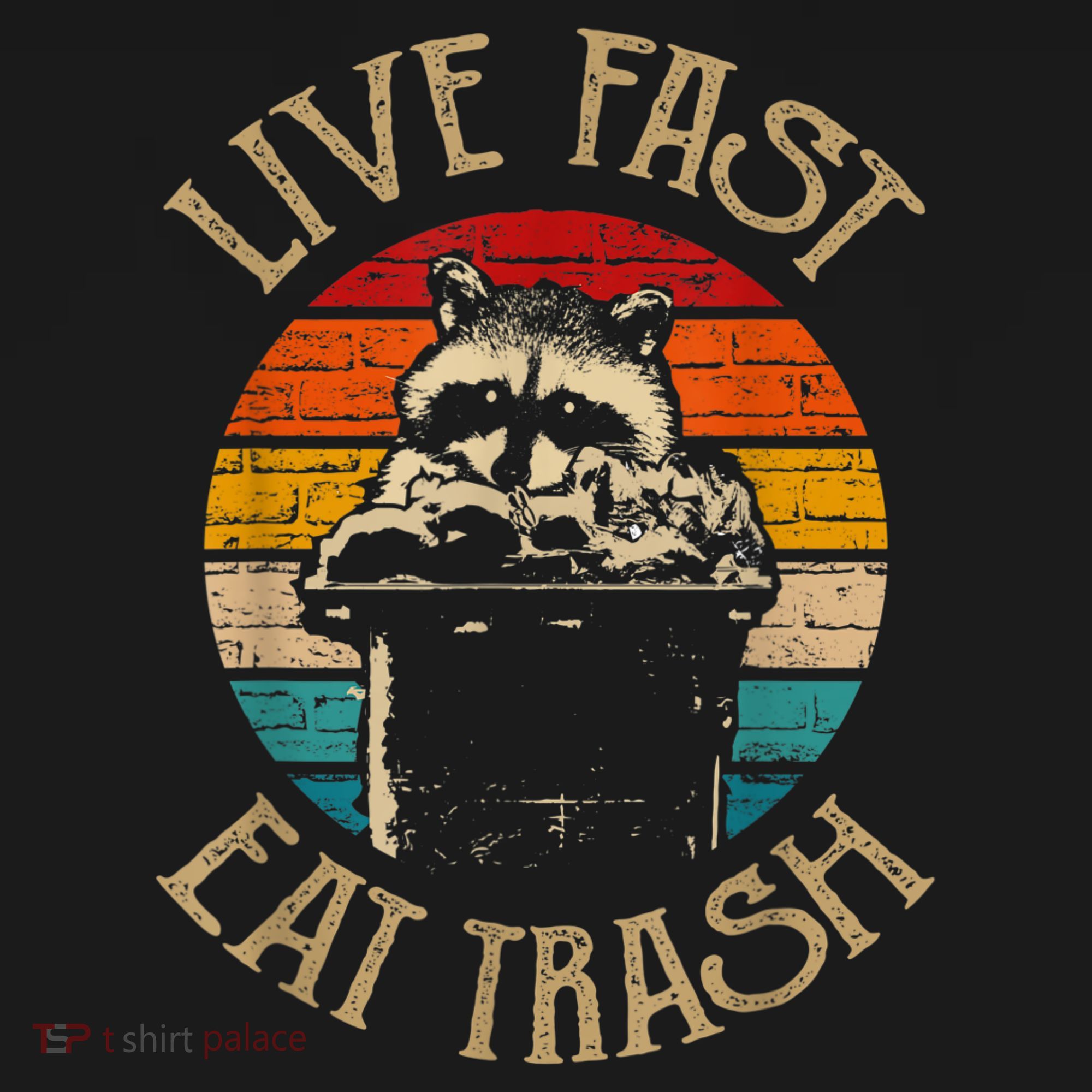 Live Fast Eat Trash Can Raccoon Camping Or Hiking Sweatshirt