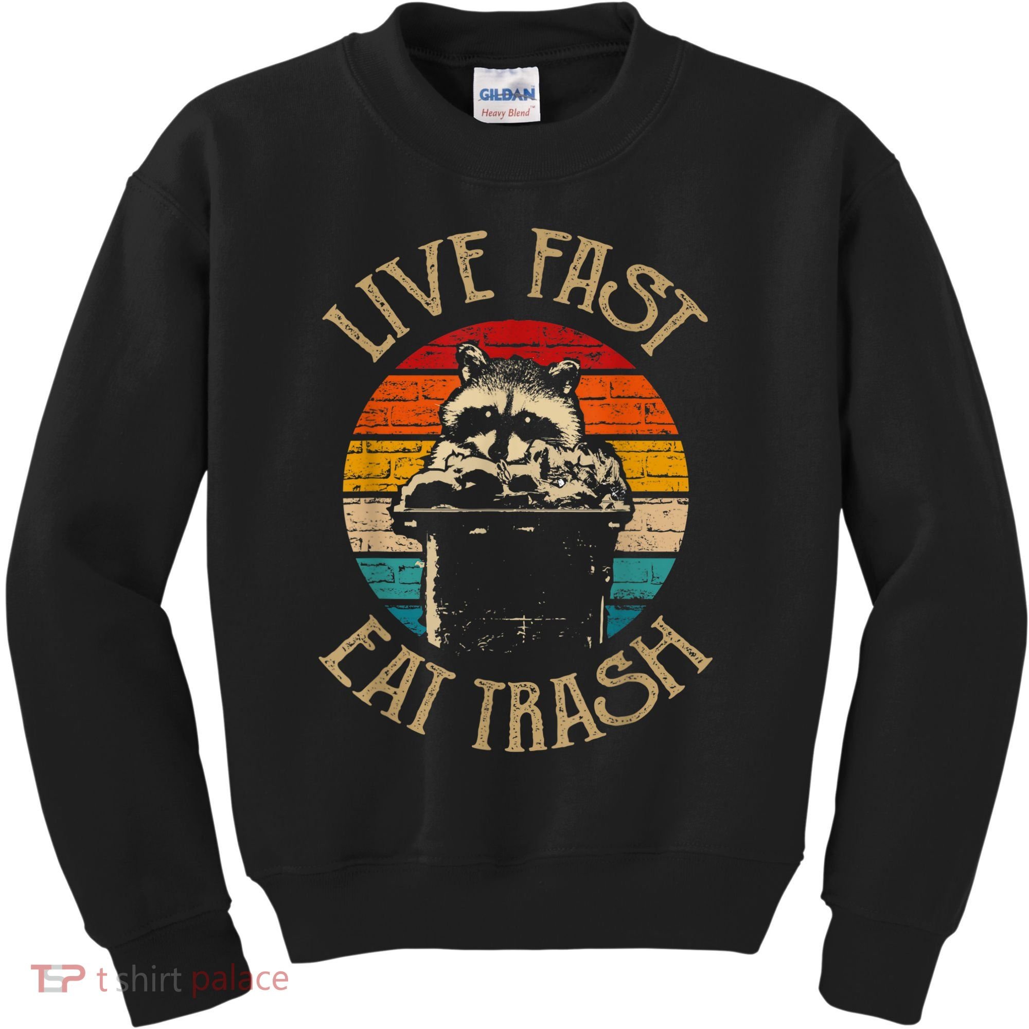 Live Fast Eat Trash Can Raccoon Camping Or Hiking Kids Sweatshirt