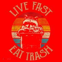 Live Fast Eat Trash Can Raccoon Camping Or Hiking Santa Hat thumb 1