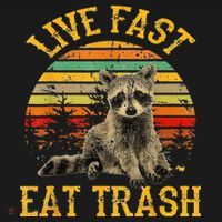 Live fast eat Trash Funny Raccoon Camping Vintage T-Shirt thumb 7