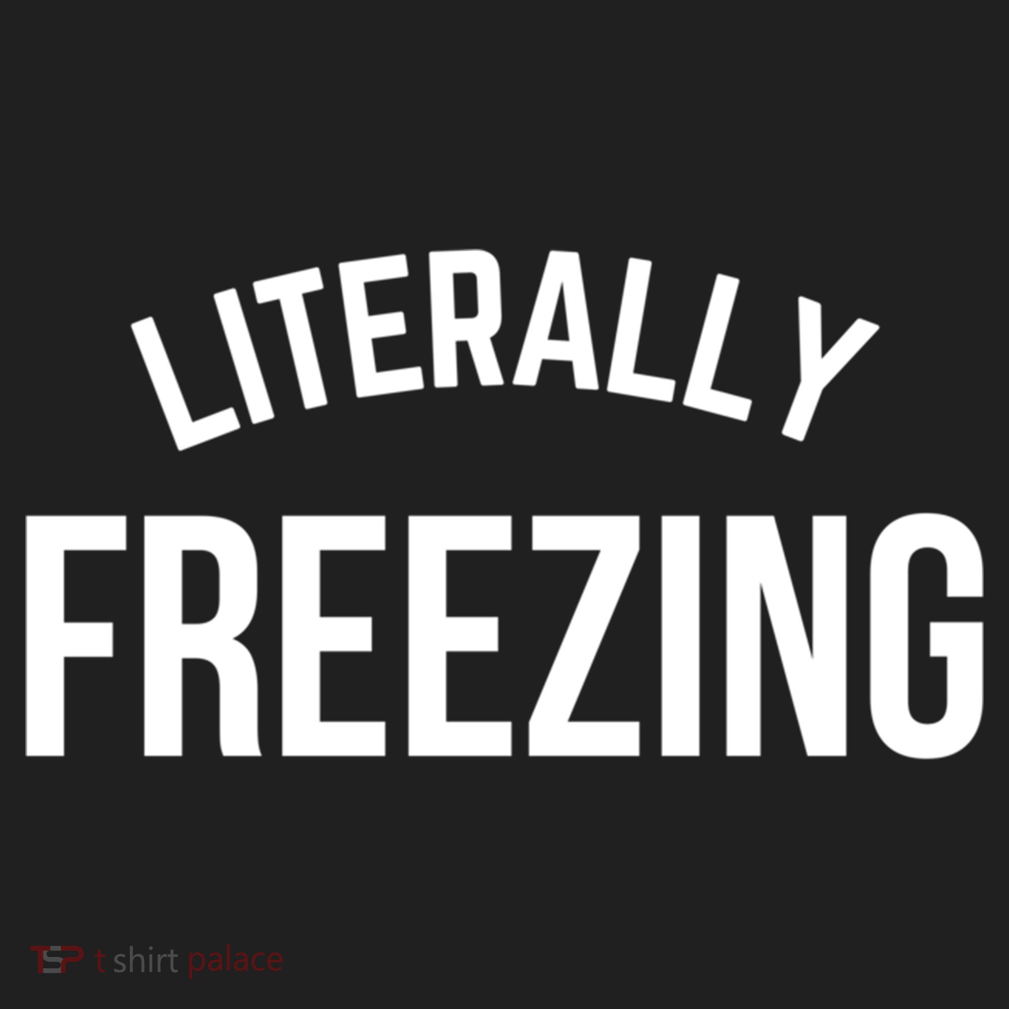 Literally Freezing I Am Literally Freezing Cold Gift Women's Sweatshirt