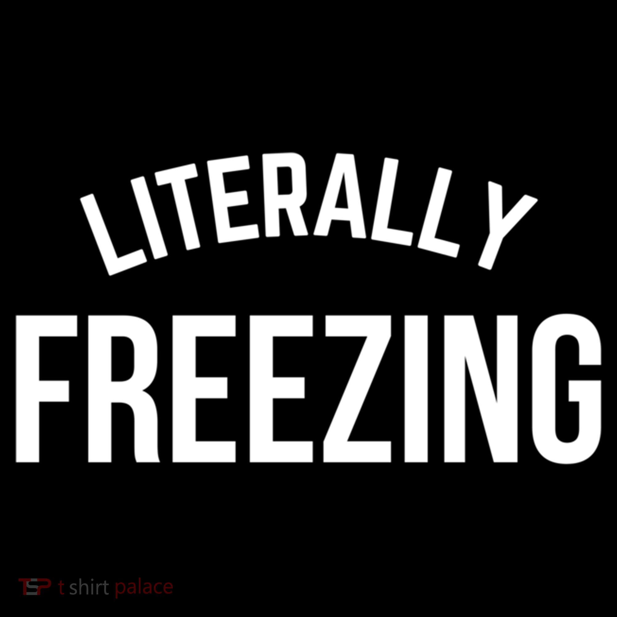 Literally Freezing I Am Literally Freezing Cold Gift Women's Hoodie