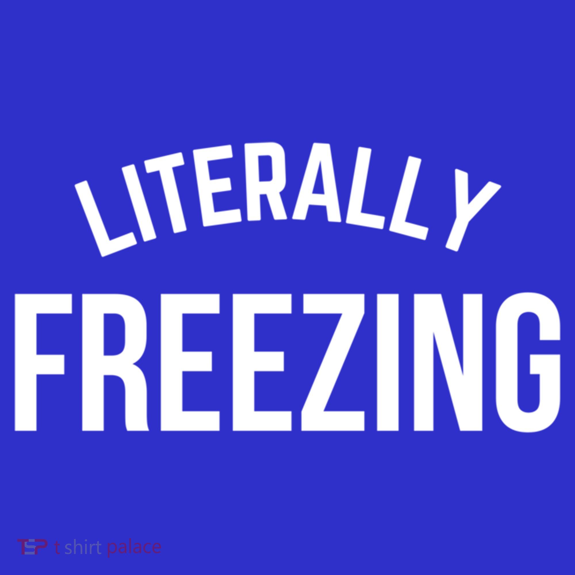 Literally Freezing I Am Literally Freezing Cold Gift Long Sleeve Shirt
