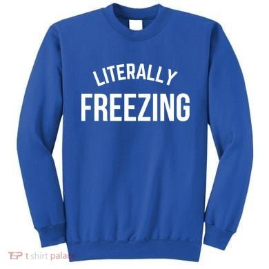 Literally Freezing I Am Literally Freezing Cold Gift Sweatshirt
