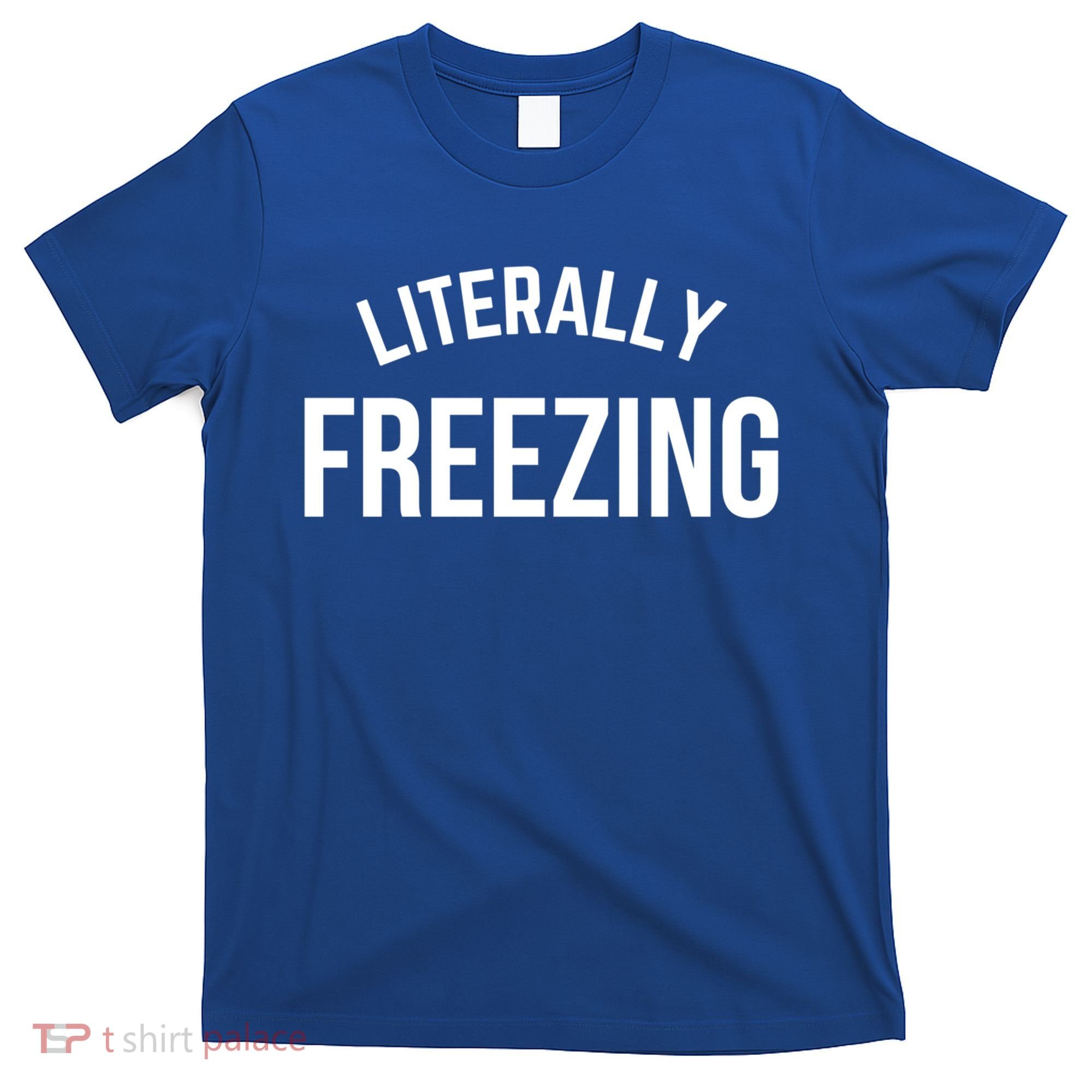 Literally Freezing I Am Literally Freezing Cold Gift T-Shirt
