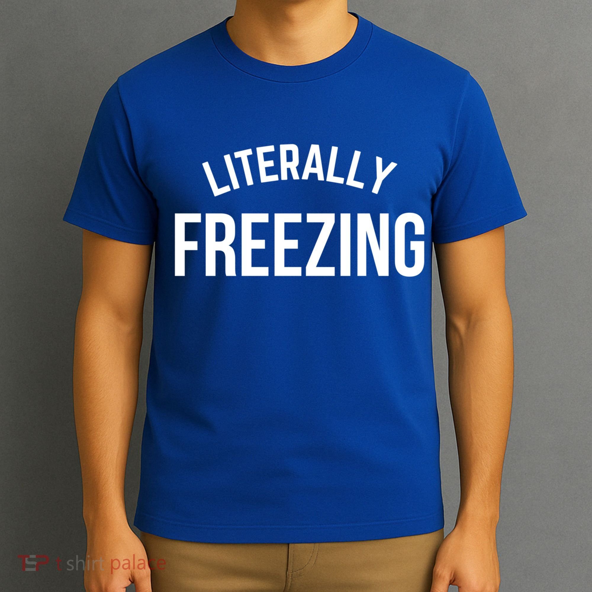 Literally Freezing I Am Literally Freezing Cold Gift T-Shirt