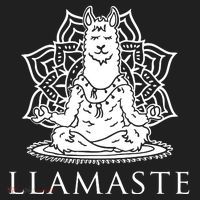 Llamaste Funny Women's Sweatshirt thumb 2