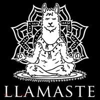 Llamaste Funny Long Sleeve Shirt thumb 2
