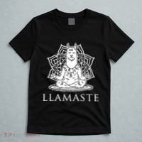 Llamaste Funny T-Shirt thumb 5