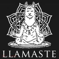 Llamaste Funny T-Shirt thumb 7