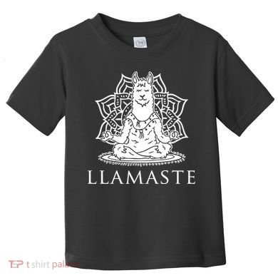 Llamaste Funny Toddler T-Shirt