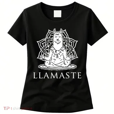 Llamaste Funny Women's T-Shirt
