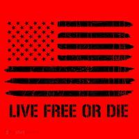 Live Free Or Die 2nd Amendment American Flag Santa Hat thumb 1