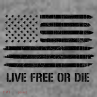 Live Free Or Die 2nd Amendment American Flag Toddler Hoodie thumb 2