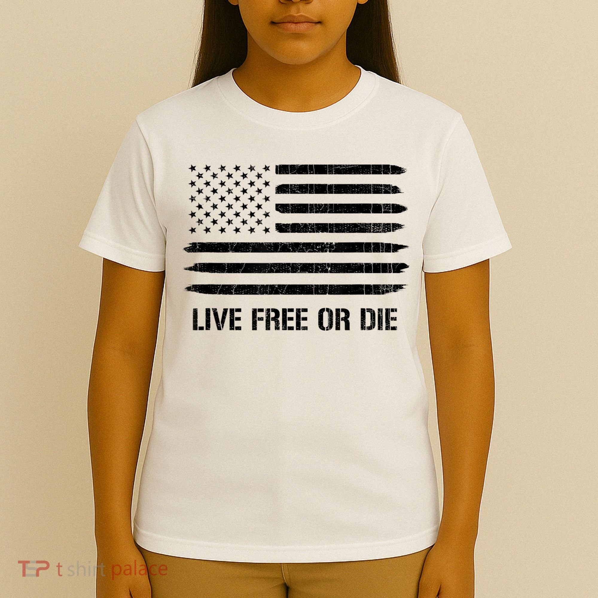 Live Free Or Die 2nd Amendment American Flag T-Shirt