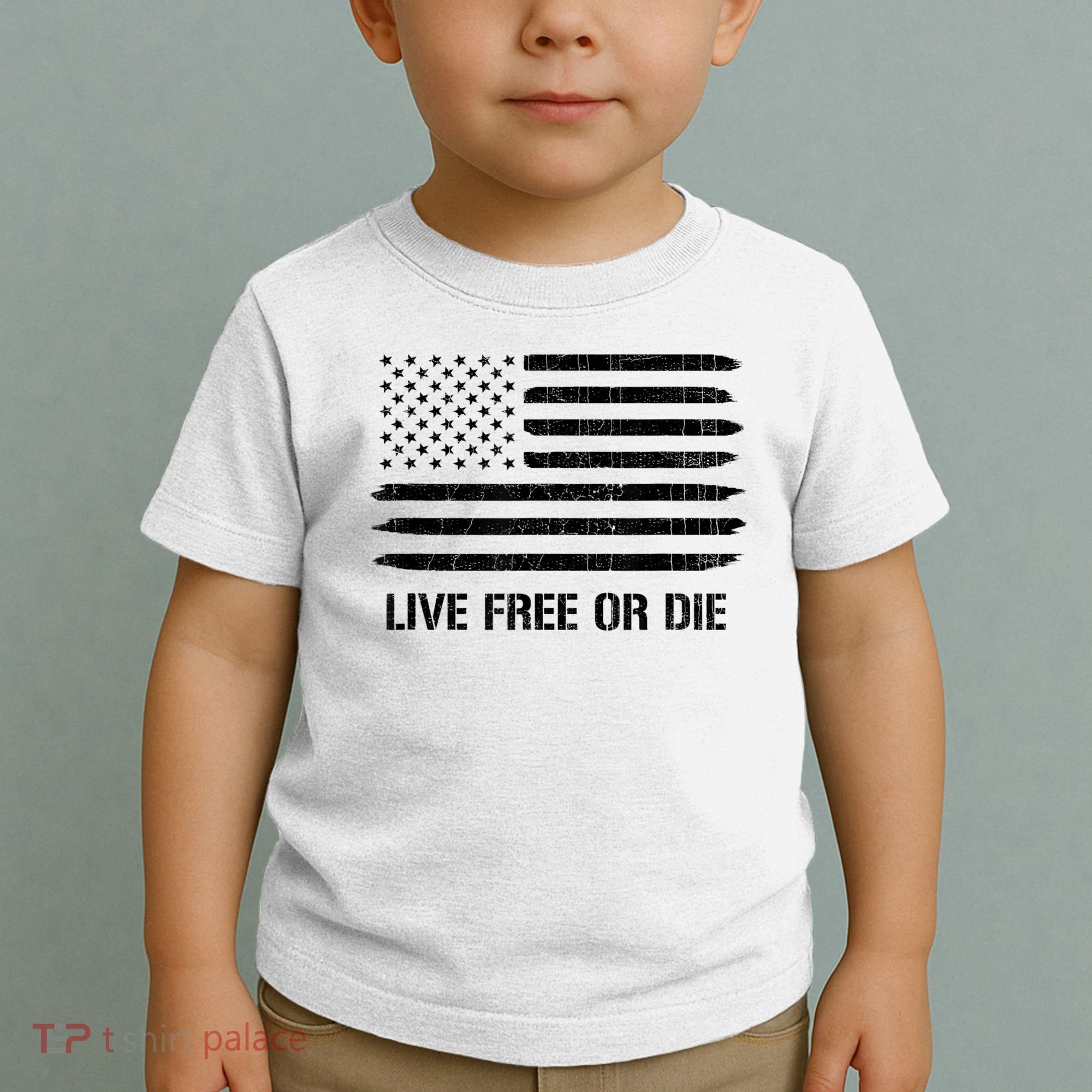Live Free Or Die 2nd Amendment American Flag Toddler T-Shirt