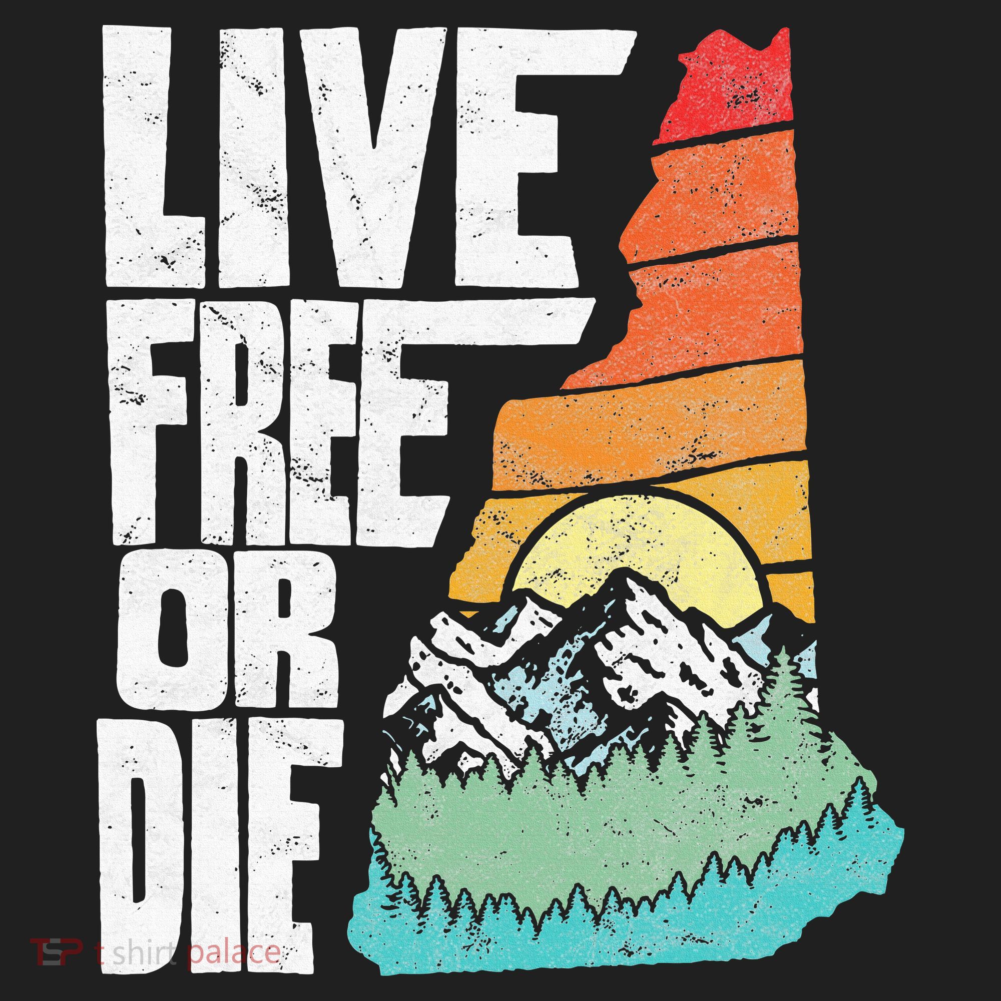 Live Free Or Die Retro New Hampshire Nature Graphic Beanie