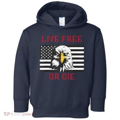 Live Free Or Die Bald Eagle American Flag Toddler Hoodie