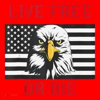 Live Free Or Die Bald Eagle American Flag Santa Hat thumb 1