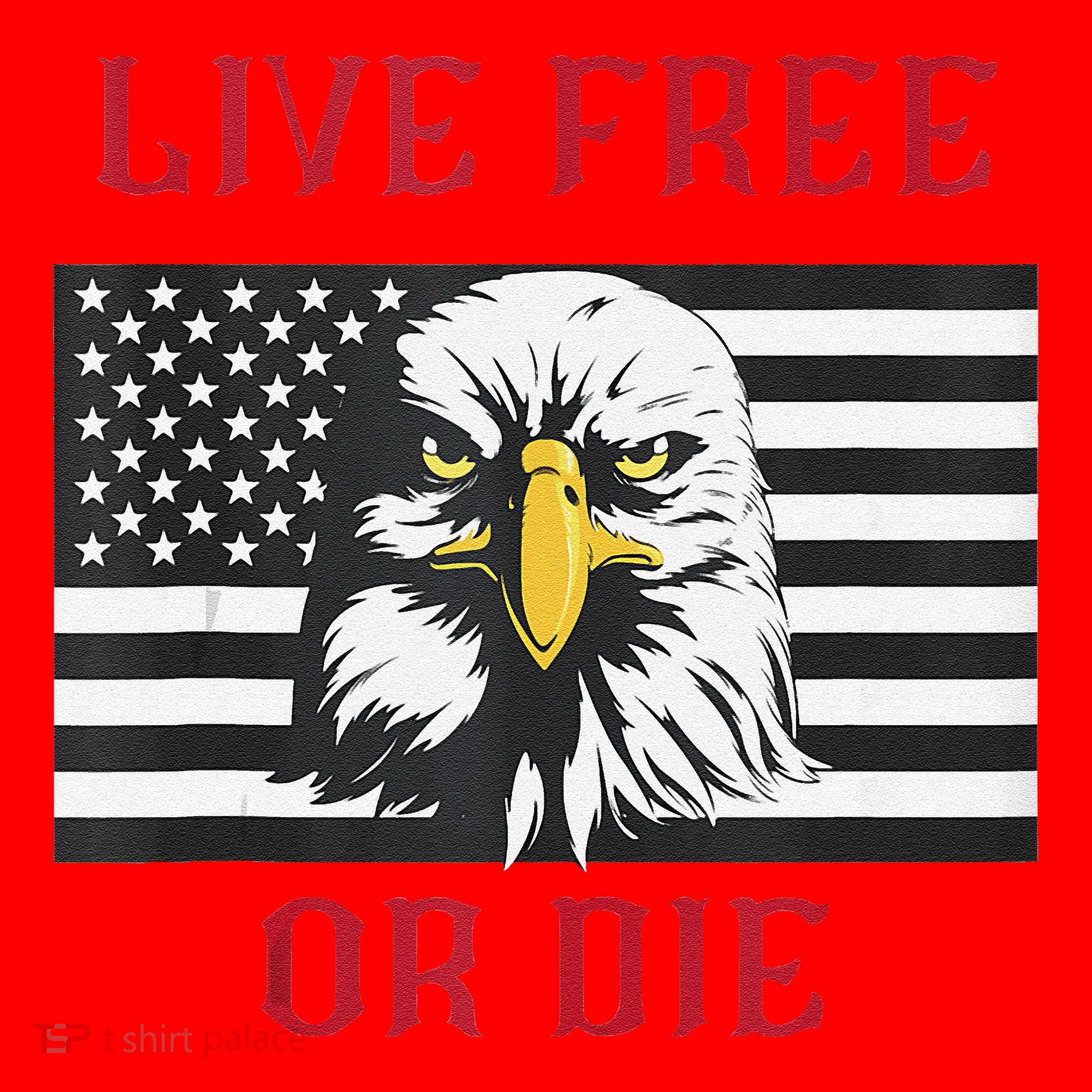 Live Free Or Die Bald Eagle American Flag Santa Hat