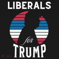 Liberals For Trump 2024 Take America Back Election Funny Gift Women's Hoodie thumb 2