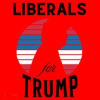 Liberals For Trump 2024 Take America Back Election Funny Gift Santa Hat thumb 1