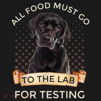 Labrador Gifts All Food Must Go To The Lab For Testing TShirt Women's Hoodie thumb 2