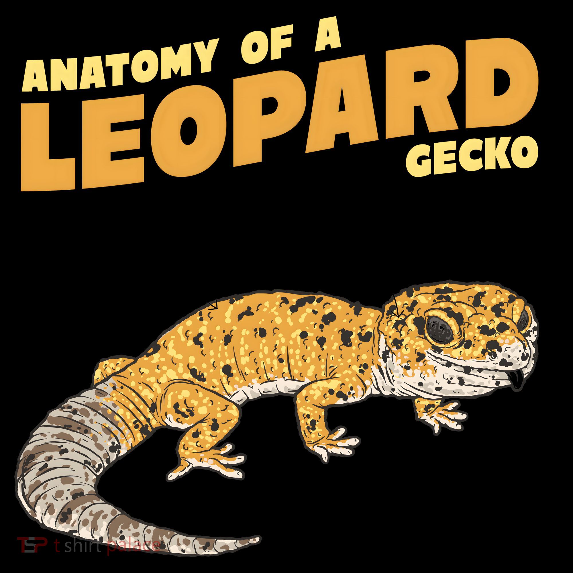 Leopard Gecko Anatomy Coffee Mug