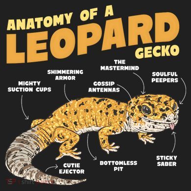 Leopard Gecko Anatomy 11oz C Handle Ceramic Mug