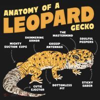 Leopard Gecko Anatomy Tank Top thumb 6