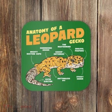 Leopard Gecko Anatomy Coaster