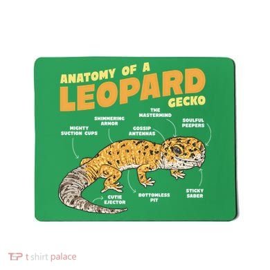 Leopard Gecko Anatomy Mousepad